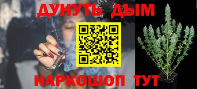 apvp Кингисепп